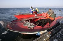 En la r�a, m�s de un millar de embarcaciones suelen trabajar en el marisqueo a flote. 
