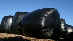 COAG sostiene que el pl�stico agr�cola, que se usa para el ensilado por�ejemplo,�se ha encarecido un 20 %