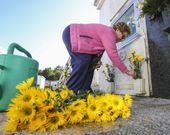 <span lang= es-es >Flores para Crisanto</span>. La sepultura de Crisanto L�pez, el maderista ceense fallecido en el 2007 y cuyo cuerpo desapareci� del cementerio de Toba, luc�a ayer flores naturales como cada a�o por estas fechas. 