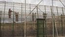 Varios operarios colocan concertinas en el per�metro fronterizo de Melilla, en el 2013