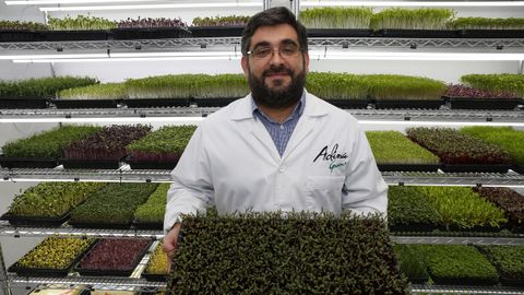 El emprendedor Daniel Barbeito cre� en Portonovo un huerto interior y vertical en el que cultiva hasta 16 variedades de brotes vegetales