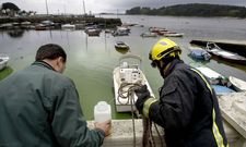 El alarmante color del agua congreg� junto a la vieja d�rsena carrilexa a muchos curiosos. 
