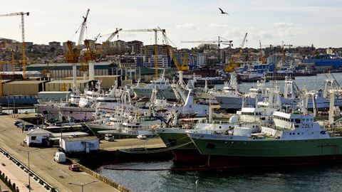 Pesqueros de gran altura y de altura amarrados en el puerto de Vigo en noviembre del 2023