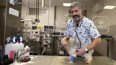 Ramiro Tubo, atendiendo a un perro en su hospital veterinario.