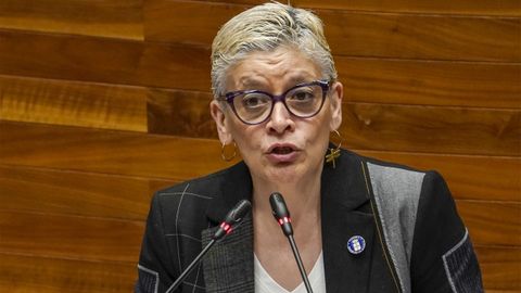 La consejera de Sanidad del Principado de Asturias, Concepcin Saavedra interviene en el pleno de la Junta General del Principado