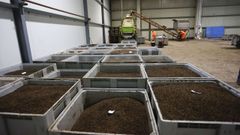 Interior de las instalaciones de Bioflytech en Palas de Rei  