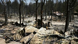 Un �rea quemada en el Parque Natural del Valle de Irruelas, arrasado por el incendio de Burgohondo, en �vila
