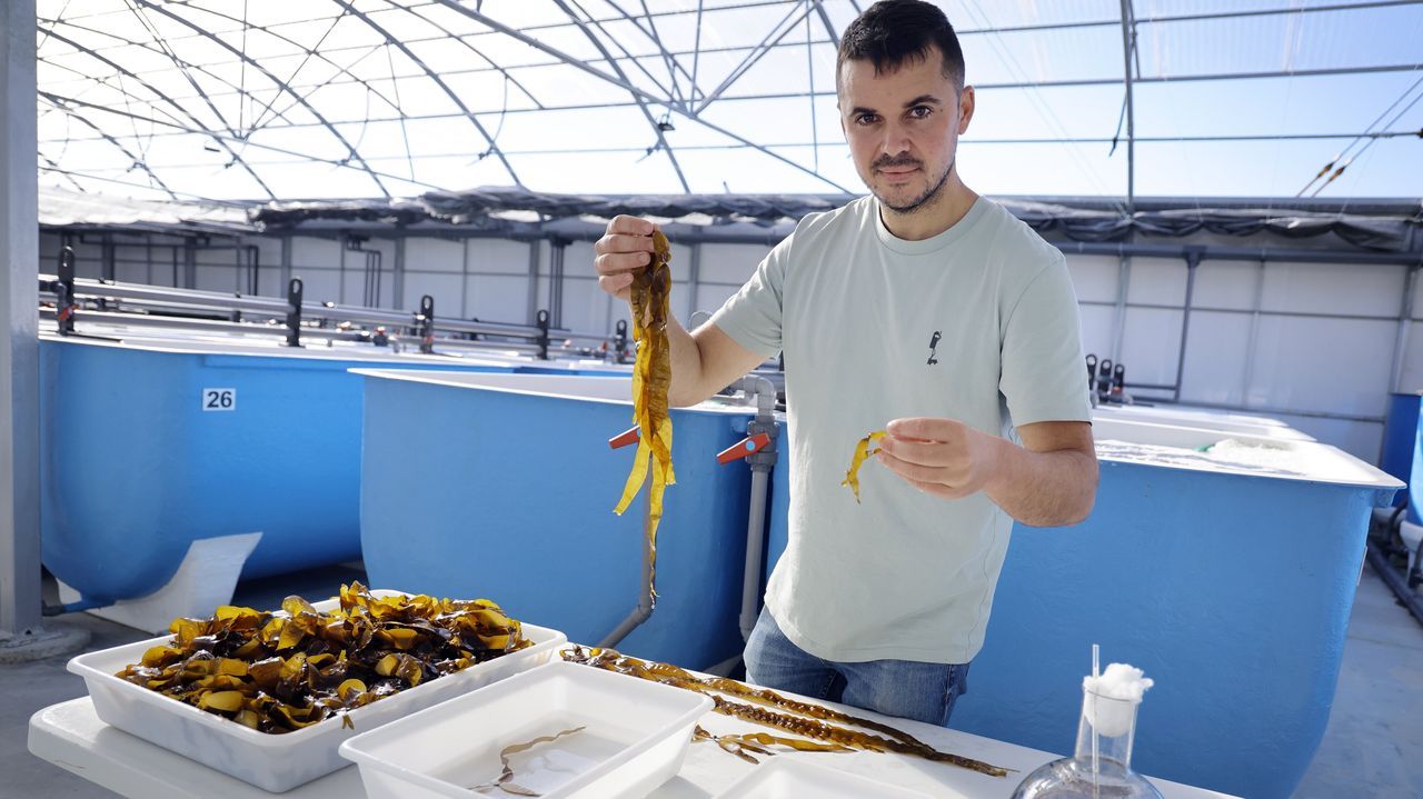La empresa Porto-Muiños, premiada por su modelo ligado a la economía azul