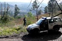 Las denuncias relacionadas con las leyes de montes y bosques fueron un total de 29 y ocho de incendios.