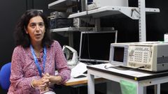 Teresa Serrano-Gotarredona, directora del Instituto de Microelectr�nica del CSIC