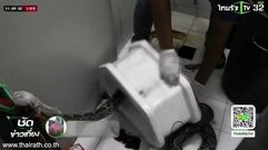 Un hombre, atacado por una serpiente que sali� de un inodoro