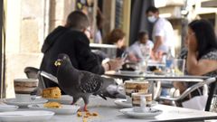 Una paloma comiendo un bizcocho en la terraza de la cafeter�a La Antigua, en la plaza del Callao