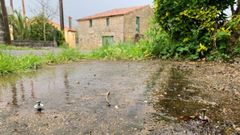 En la imagen se ven las sujecciones del banco