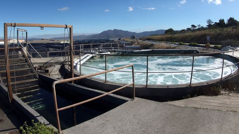 Tanque de oxigenaci�n del agua