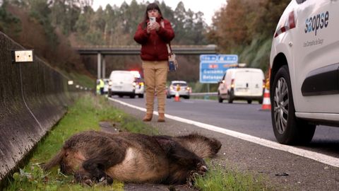 Jabal� fallecido tras una colisi�n en la AP-9.
