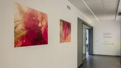 Proyecto de Andrea y Paula, en el que fotografiaron flores y la editaron para crear im�genes abstractas