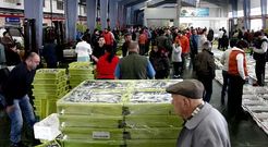 Desde que empez� el ejercicio la venta de pescado en Ribeira gener� 8,4 millones de euros.