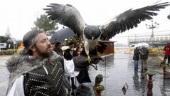 Un caballero exhibe un halcn en la Arribada de Baiona.Un caballero exhibe un halcn en la Arribada de Baiona