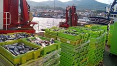 Descarga de jurel en Portos�n