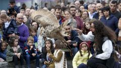 Demostraci�n de cetrer�a no Mercado Medieval do ano pasado
