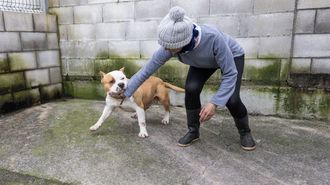 El Hotel do Can, en Carballo.