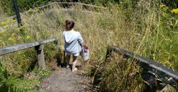 Imagen captada este domingo por la tarde en los accesos al arenal de Beo, Malpica. 