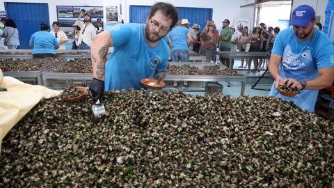 Festa do Percebe en Aguio 2025