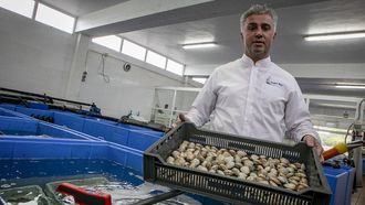 �ngel Mari�o, presidente de la Asociaci�n Galega de Comercializadores de Marisco (Agacomar)