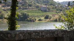 Paisaje estival del ro Mio en el entorno del balneario de Laias, en Cenlle.
