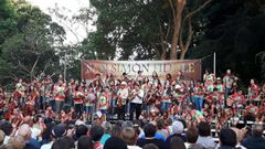 Concierto de San Sim�n Fiddle