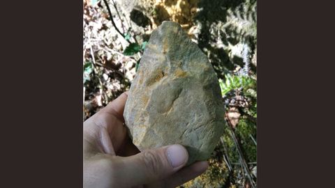 Piezas encontradas en el bosque de La Zoreda