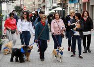 Los participantes en el paseo solidario portaron huchas para recoger donativos. 