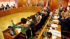 Pleno del Concello de Vigo
