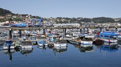 Bueu es el principal puerto �polbeiro� de la r�a de Pontevedra y el m�s afectado por la escasez de cefal�podo