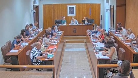 Pleno Ayuntamiento de Avil�s