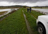 <span lang= es-es >Grandes inundaciones</span>. El pasado mes de abril fue nefasto para los campos de A Limia. Las intensas lluvias anegaron los cultivos de patata justo en el momento en que tocaba empezar con la plantaci�n. Las sembradas se perdieron. Lo que no se pudo recuperar fue el cereal de invierno.