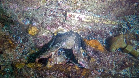 La campana hallada conserva grabados los datos del barco