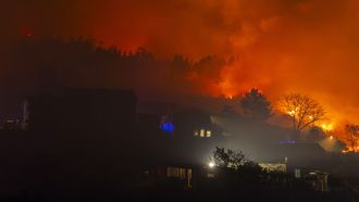 Seg�n explic� la regidora vimiancesa, que sigui� muy de cerca el fuego en la noche del s�bado, este se extendi� desde As Barrosas, en A Ponte do Porto (Camari�as), hasta Cereixo y Carn�s, ya en Vimianzo, a una �impresionante� velocidad debido al fuerte viento.