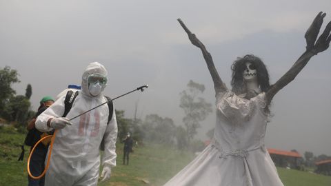 Un trabajador con traje de bioseguridad desinfecta, como medida de proteccin contra la pandemia, un rbol caracterizado como la Santa Muerte en un rea de las Chinampas, en Mxico