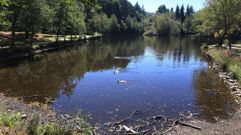 El lago de Casti�eiras mantiene un buen nivel de retenci�n de agua en este verano de sequ�a