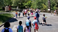 VISITA AL ZOO EN VEZ DE REV�LIDA. Foanpas Vigo, que aglutina a las AMPA de los ochenta centros p�blicos de Vigo, ofreci� a las familias con problemas de conciliaci�n una visita al zoo para los alumnos que no quisiesen acudir ayer a la prueba acad�mica. El martes fueron al Museo Liste