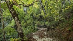 Un paseo en im�genes por Cortes y sus alrededores