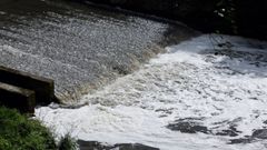La directiva europea busca proteger las masas de agua frente a la contaminaci�n de origen agrario