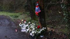 Los seres queridos de la v�ctima del accidente colocaron ramos de flores y otros objetos en el lugar del accidente