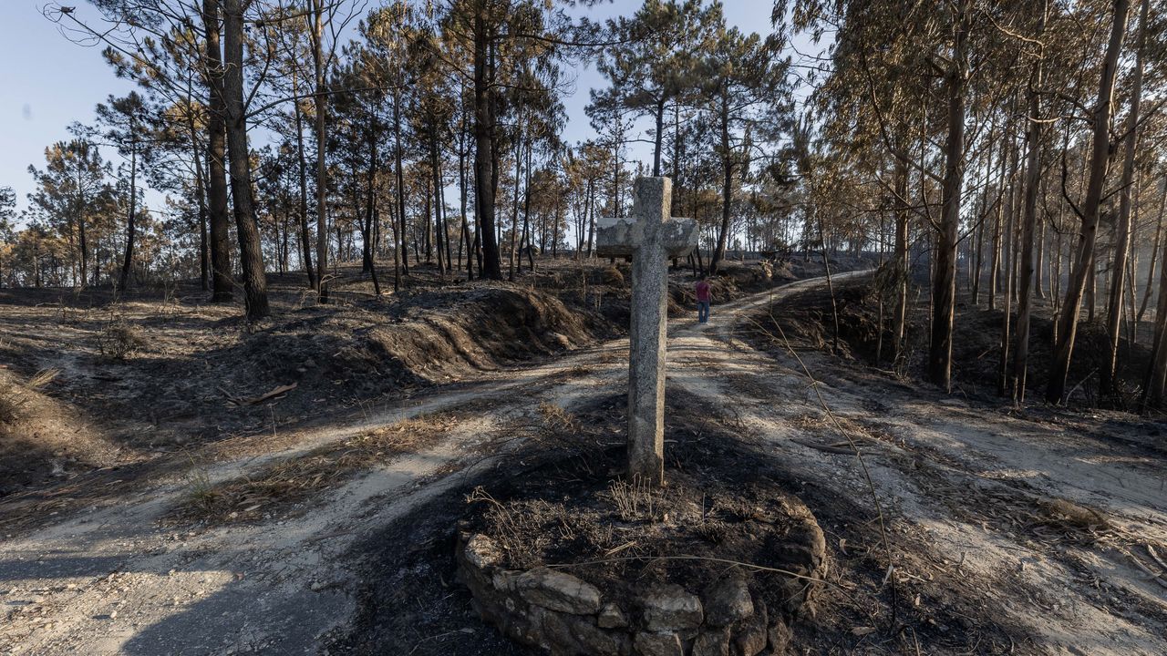 El BNG lleva al Parlamento los incendios de Ponteceso