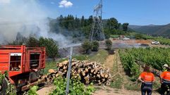 Incendio forestal en C�rgomo