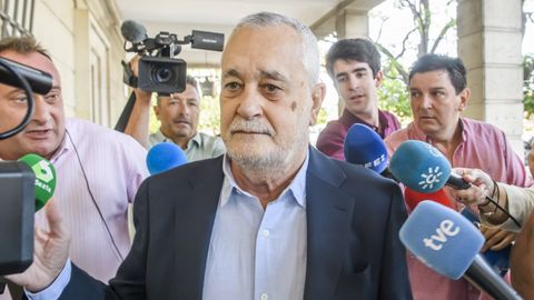 El expresidente de la Junta de Andaluca, Jos Antonio Grin, a su llegada a la Audiencia de Sevilla el pasado 18 de mayo.