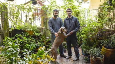 Hugo y Ricardo, en el patio de Índigo, junto a Santa María, en Pontevedra