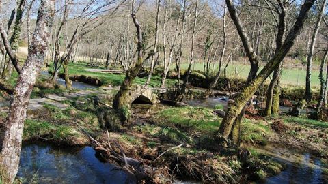 Combinacin de puente y pontella en Mouriscados