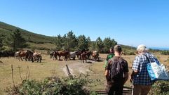 Ruta de A Rula por la Bra�a da Banle